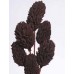 MAGNOLIA PODS Chocolate 16"OUT OF STOCK
